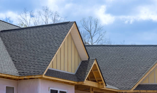 Best Roof Moss and Algae Removal  in West Conshohocken, PA
