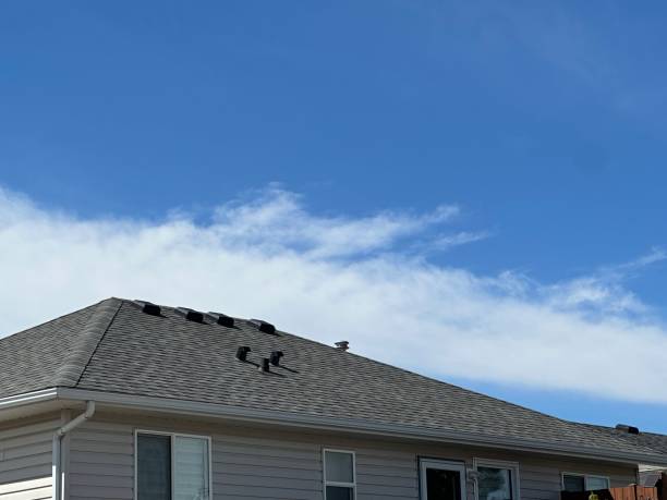 Best Green or Eco-Friendly Roofing Solutions  in West Conshohocken, PA